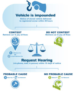 Impound Hearing Infographics